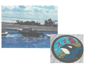 慰安旅行の画像